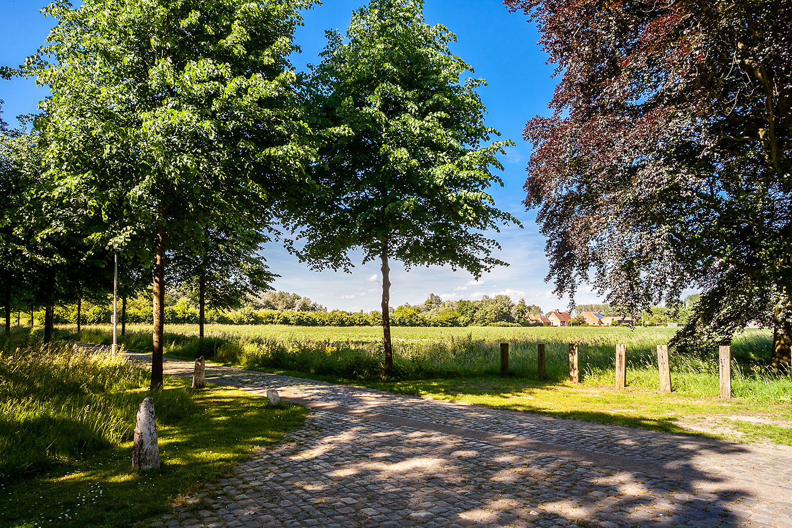 Project Prosperpark omgeving Beveren