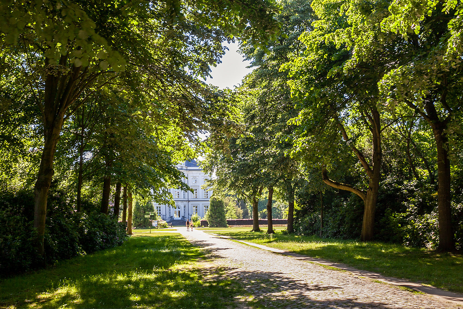 Project Prosperpark omgeving Beveren